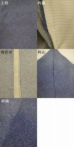 平和屋着物＊夏物　江戸小紋　絽　鮫小紋柄　正絹　逸品　AABJ6417jd