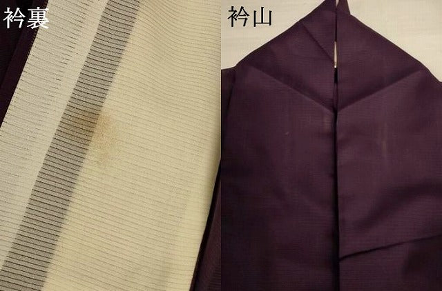 平和屋着物＊夏物　訪問着　絽　手描き　草花文　洗える着物　AABJ6428jd