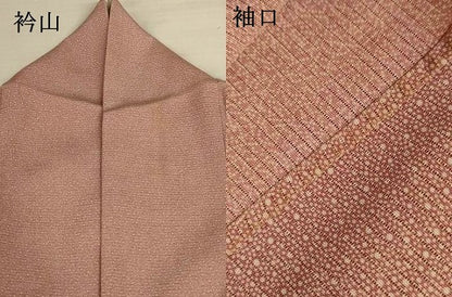 平和屋着物＊夏物　江戸小紋　絽　大小あられ　両面染め　正絹　逸品　AABJ6456jd
