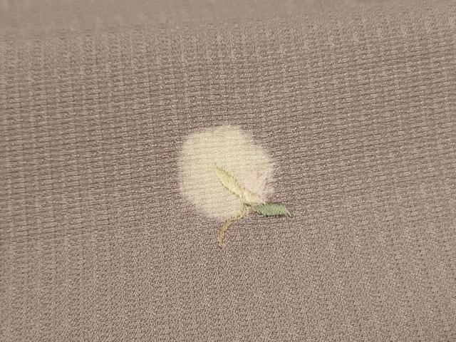 平和屋着物＊夏物 小紋 紗 絞り 刺繍 草花丸文 正絹 逸品 AABJ6474jd