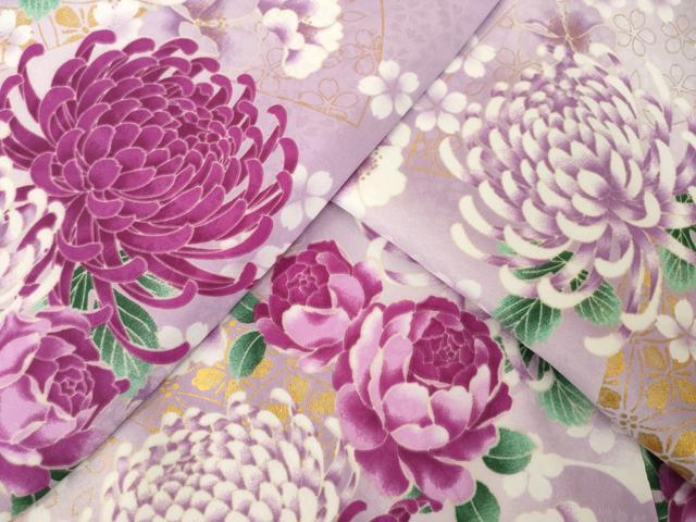 平和屋着物●H・L（アッシュエル）　HENRI-LUC CHAPUIS　小振袖　二尺袖　地紙花文　菊　金彩　洗える着物　AABJ6523ck