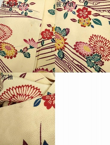 平和屋着物●上質な小紋　型染め　立波草花文　鬼しぼ縮緬　正絹　逸品　AABJ6617cs