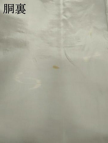 平和屋着物●上質な紬　琉球絣文様　正絹　逸品　AABJ6622cs