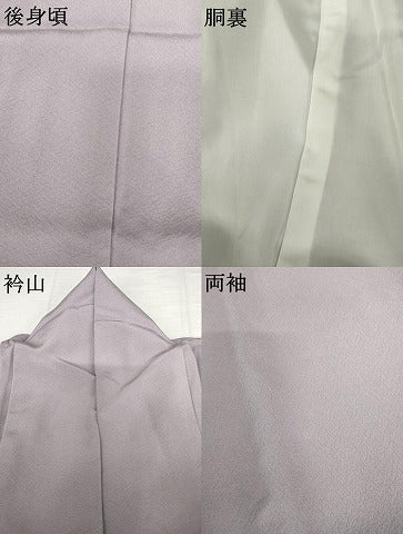 平和屋着物●国際的伝統工芸作家　十二代・藤林徳扇　苑寿　訪問着　華の式部　暈し染め　金銀彩　色紙付き　正絹　逸品　AABJ6642cs