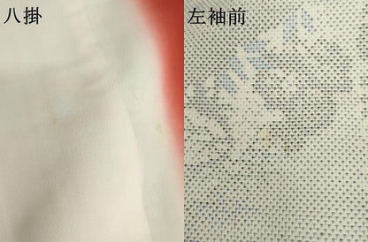 平和屋着物●本場大島紬　白大島　カタス9マルキ　風景草花文　正絹　逸品　未使用　AABJ6670cs
