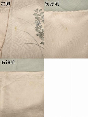 平和屋着物●訪問着　手描き　草花文　暈し染め　正絹　逸品　AABJ6731ck