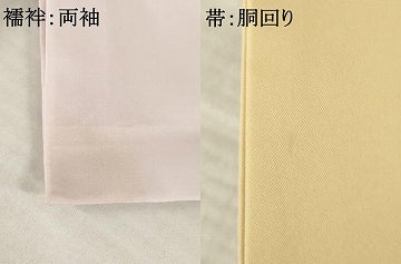 平和屋着物●小振袖(二尺袖)・長襦袢(無双仕立て)・行灯袴・半幅帯セット　舞花文　洗える着物　AABJ6750ck