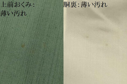平和屋着物■上質な紬　舞蝶文　正絹　逸品　AABJ7661sx