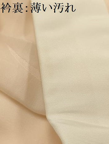 平和屋着物■長襦袢　無双仕立て　絞り　露芝花文　暈し染め　正絹　逸品　AABJ7698sx