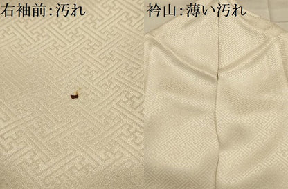 平和屋着物■訪問着　絞り　刺繍　鬘帯花文　銀彩　正絹　逸品　AABJ7740sx