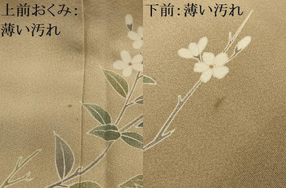 平和屋着物■訪問着　友禅　枝花文　暈し染め　金彩　正絹　逸品　AABJ7752sx