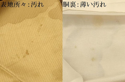 平和屋着物■上質な小紋　雲取風景文　金彩　正絹　逸品　AABJ7784sx