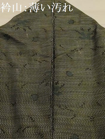 平和屋着物■本場大島紬　草花文　正絹　逸品　AABJ7808sx