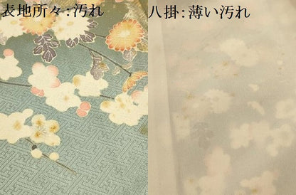 平和屋着物■訪問着　友禅　枝花文　暈し染め　正絹　逸品　AABJ7846sx