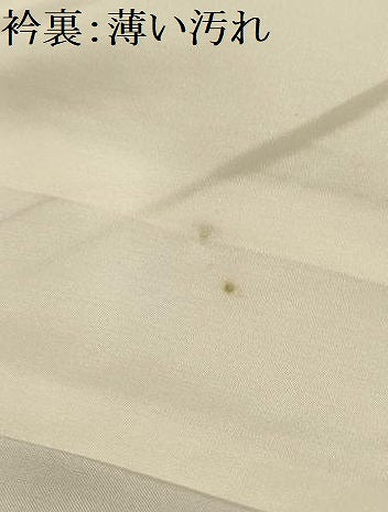 平和屋着物■上質な紬　草花文　正絹　逸品　AABJ7881sx