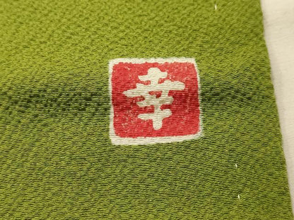 平和屋着物■ファッションデザイナー 花井幸子　色無地　紋意匠　青丹色　正絹　逸品　AABJ7931sx