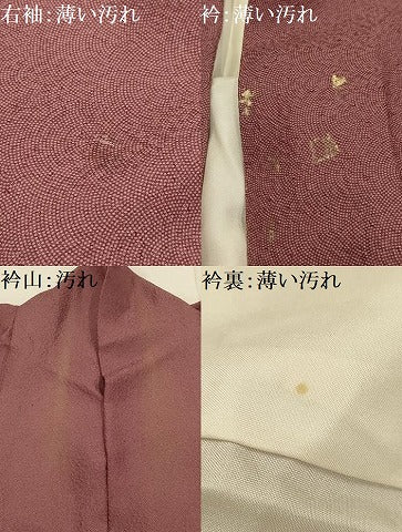 平和屋着物■江戸小紋　作家物　鮫小紋柄　正絹　逸品　AABJ7940sx