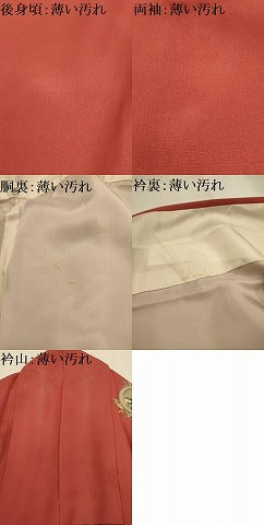 平和屋着物■訪問着　手描き　花鳥文　暈し染め　金彩　ロング丈　正絹　逸品　AABJ7944sx
