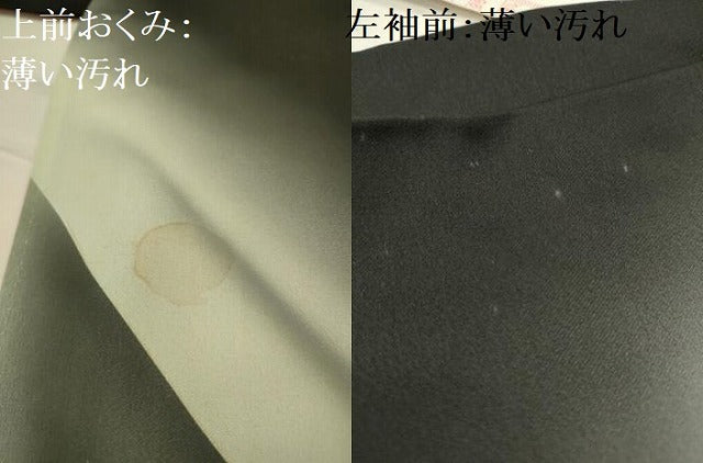 平和屋着物■訪問着　飛鶴花文　暈し染め　黒地　金銀彩　正絹　逸品　AABJ7945sx