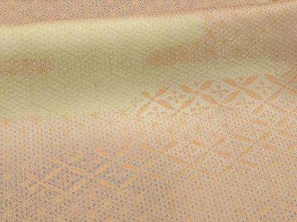 平和屋着物■上質な小紋　霞取吉祥文　暈し染め　正絹　逸品　AABJ7968sx