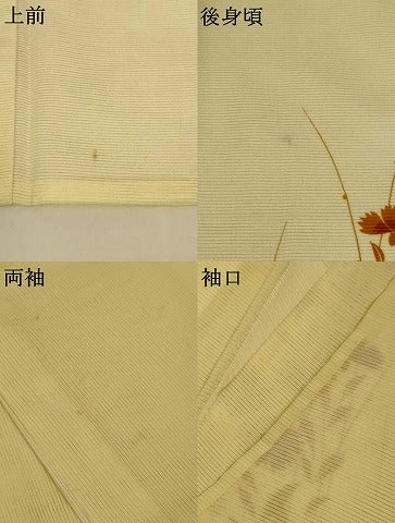 平和屋着物＊夏物 訪問着 絽 草花文 洗える着物 AABJ8005jd