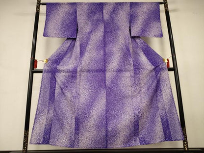 平和屋着物＊夏物　小紋　絽　霞文　洗える着物　AABJ8011jd