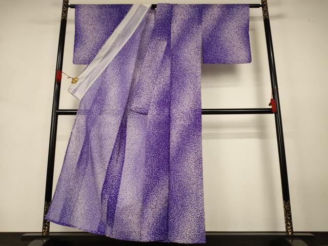 平和屋着物＊夏物　小紋　絽　霞文　洗える着物　AABJ8011jd
