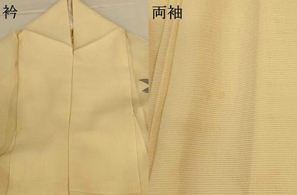 平和屋着物＊夏物 訪問着 絽 鴛鴦 正絹 逸品 AABJ8026jd