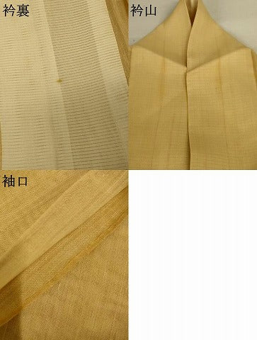 平和屋着物＊夏物　訪問着　生紬　紗　手描き　鳥獣戯画　正絹　逸品　AABJ8104jd