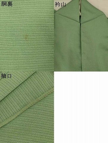 平和屋着物＊夏物　訪問着　絽縮緬　枝葉文　魚　暈し染め　金彩　正絹　逸品　AABJ8112jd