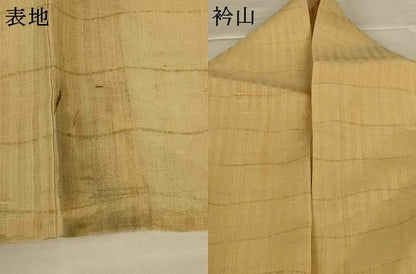 平和屋着物＊夏物　訪問着　紗紬　横段文　正絹　逸品　AABJ8121jd