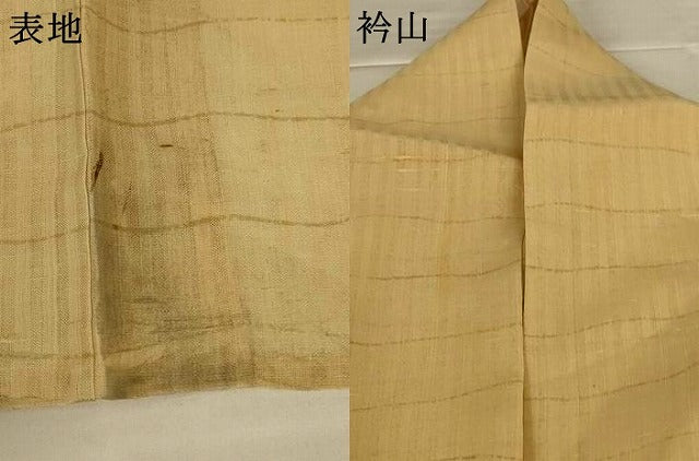 平和屋着物＊夏物　訪問着　紗紬　横段文　正絹　逸品　AABJ8121jd