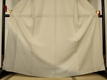 平和屋着物＊夏物　訪問着　絽　霞文　暈し染め　正絹　逸品　AABJ8129jd