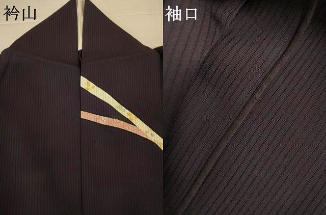 平和屋着物＊夏物　訪問着　縦絽　熨斗花文　金銀彩　正絹　逸品　AABJ8133jd