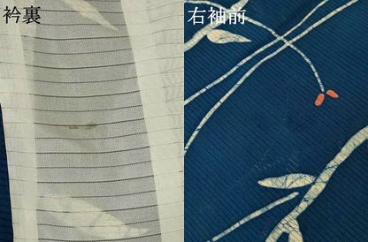 平和屋着物＊夏物　小紋　絽　一珍染　枝葉文　正絹　逸品　AABJ8137jd