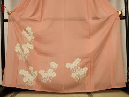 平和屋着物＊夏物　訪問着　絽　草花文　正絹　逸品　未使用　AABJ8141jd