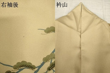 平和屋着物●訪問着　能面　般若　金彩　洗える着物　AABJ8206ck