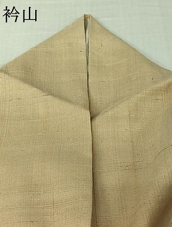 平和屋着物▽生紬　単衣　手描き　勝虫　ロング丈　正絹　逸品　AABJ8309jh