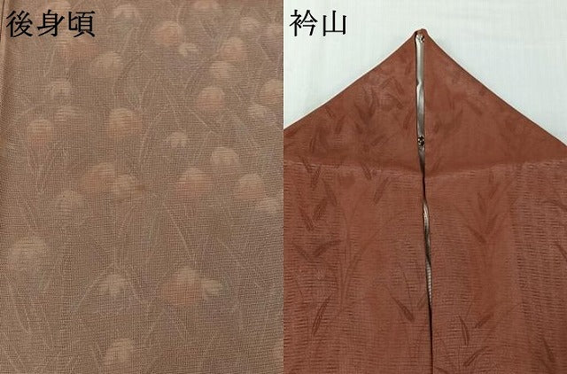 平和屋着物▽訪問着　無双　紗袷　紗×絽　手描き　草花文　暈し染め　正絹　逸品　AABJ8343jh