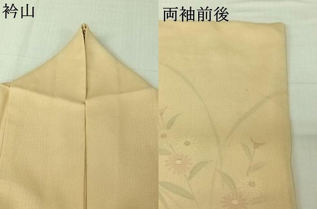 平和屋着物▽訪問着　無双　紗袷　紗×絽　手描き　草花文　正絹　逸品　AABJ8354jh