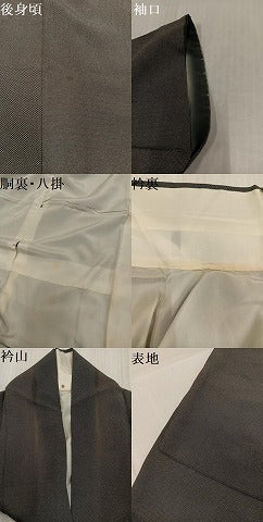 平和屋着物●江戸小紋　彫士：住田双光・染士：西宮伊智郎　寄せ小紋柄　黒地　正絹　逸品　AABJ8501ph