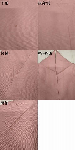 平和屋着物＊夏物　訪問着　刺繍　絽　草木に馬　正絹　逸品　AABJ8563cs