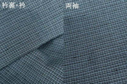 平和屋着物＊夏物　男性　小紋　紗　格子　AABJ8568cs
