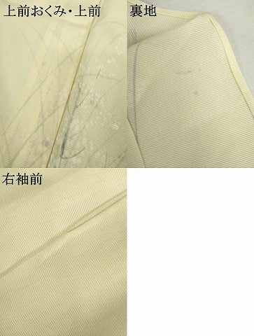 平和屋着物＊夏物　訪問着　絽　手描き　枝花文　正絹　逸品　AABJ8589cs