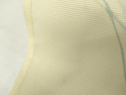 平和屋着物＊夏物　訪問着　絽　手描き　枝花文　正絹　逸品　AABJ8589cs