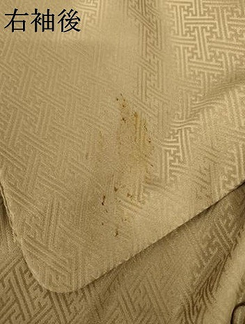 平和屋着物●訪問着　絞り　枝梅　正絹　逸品　AABJ8631cs