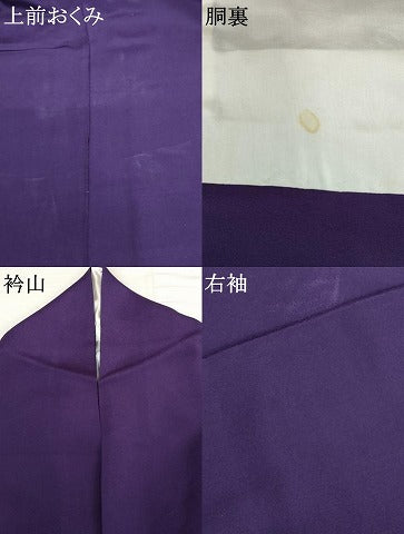 平和屋着物●創業130年　江戸染繍友禅　大彦　訪問着　刺繍　花鳥文　金銀糸　金彩　正絹　逸品　AABJ8681cs