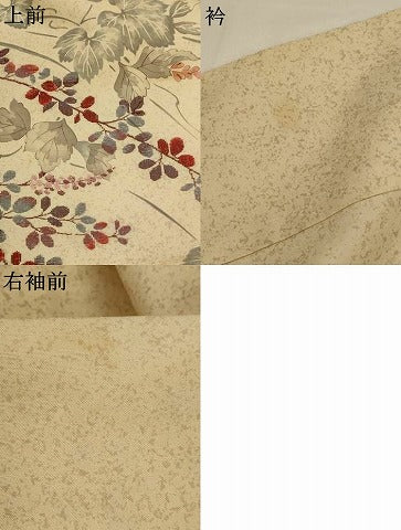 平和屋着物▽訪問着　単衣　紬地　草花文　正絹　逸品　AABJ8726ph