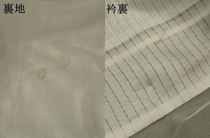 平和屋着物▽訪問着　無双　紗袷　紗×紗　手描き　草花文　暈し染め　正絹　逸品　AABJ8751st