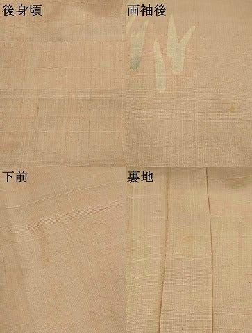 平和屋着物▽訪問着　単衣　生紬地　草花文　正絹　逸品　AABJ8758st
